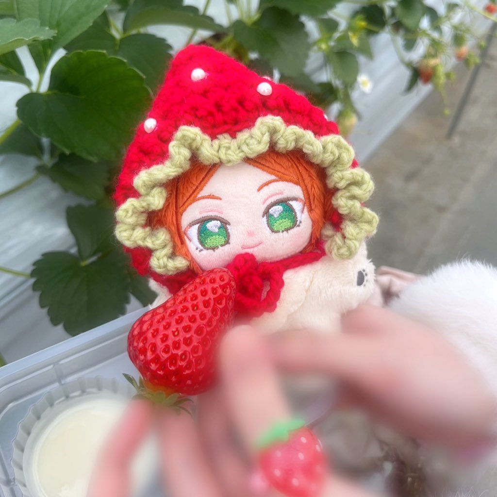uxu_qlx's tweet photo. ちょとまえだけど、いちごがりいきました〜🍓
いちごのお帽子編みました！かわいい！♡ https://t.co/sBlZrVxSBS