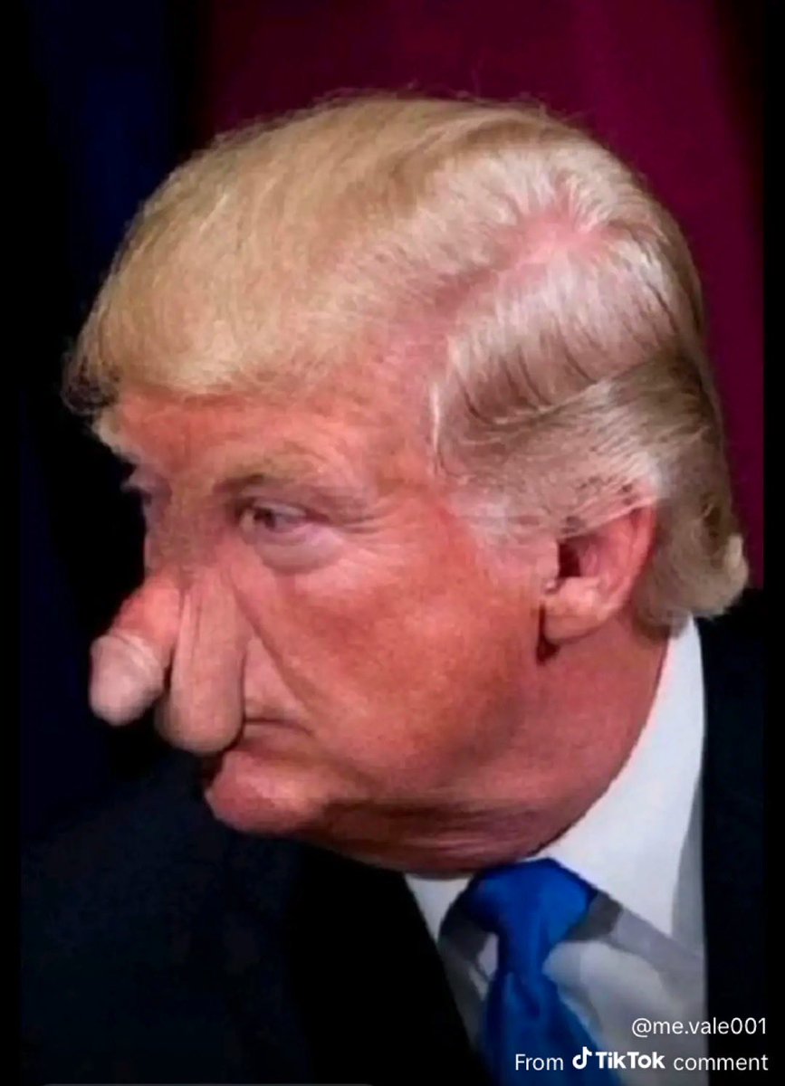 GOLDIIIGLOCKS's tweet photo. @rox_maga247 @JamesTate121 Maybe I should respect your opinion on this topic you are well-versed in things that are stunningly ugly https://t.co/9SSkeUfd8y