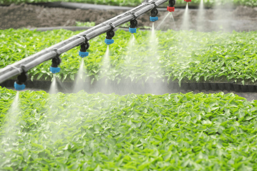 hortweek's tweet photo. Small improvements can make a significant difference when margins are under pressure. Discover how @group_icl's expertise and water-soluble fertiliser solutions can help optimise inputs and support stronger returns.
Read more: https://t.co/isET27Xjoy
#ad https://t.co/d2ecV0r6gS