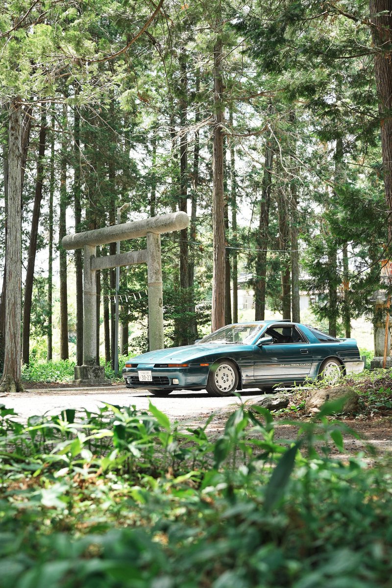 mikipura70's tweet photo. 静かな森の中にある神社
𝓲𝓷 𝒕𝒉𝒆 𝑺𝒖𝒎𝒎𝒆𝒓 https://t.co/pF2FwmsDtz