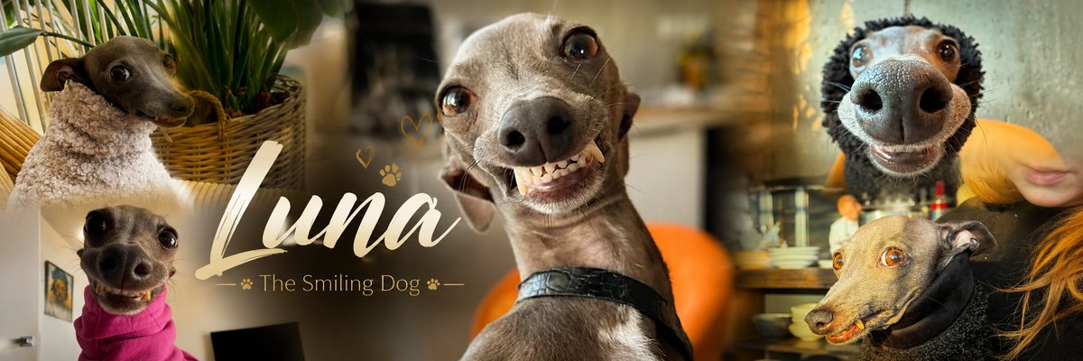TrenchPatrol's tweet photo. I MADE A BANNER FOR $LUNA https://t.co/Kjwqbt44vH
