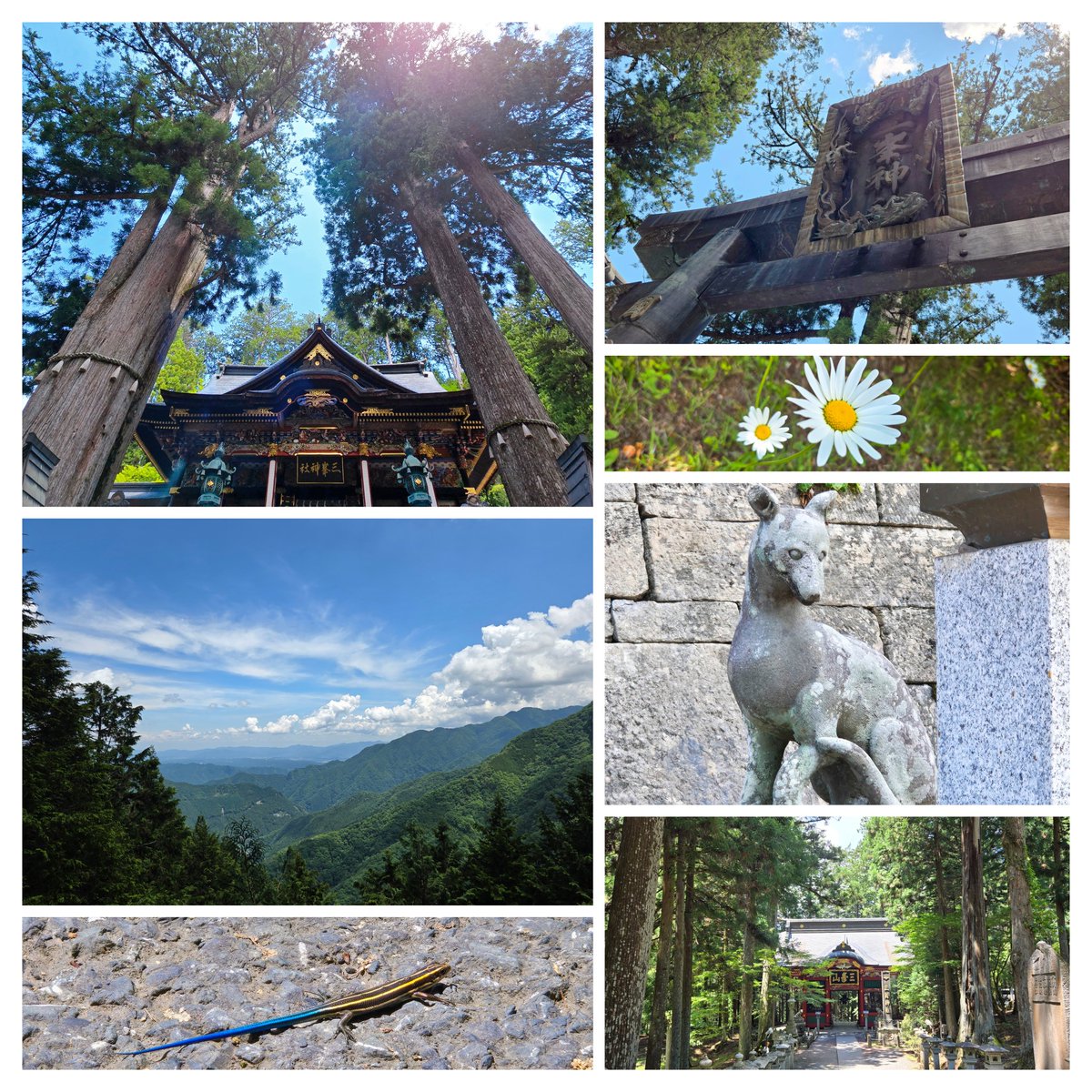 shower_nov's tweet photo. 三峯神社🐺
バスで運ばれる道中がもう冒険感。天気も良かったし、風気持ちいいし、川の水は綺麗だし、山の景色すごかった⛰️基本杉だらけの角度しかない山…よくダム作ったな… https://t.co/nWkof5p1ok
