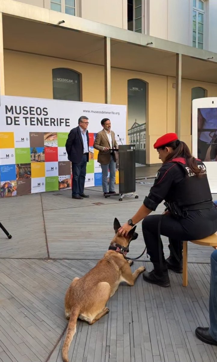 CGPCanaria's tweet photo. 🐕‍🦺🐩🦮 Valoramos la iniciativa del @CabildoTenerife para permitir el acceso de mascotas al MUNA y al Museo de Historia. Desde nuestro Grupo Canino, apostamos por una convivencia responsable que integre el bienestar animal en la cultura.
#Tenerife https://t.co/PP7VATYru4