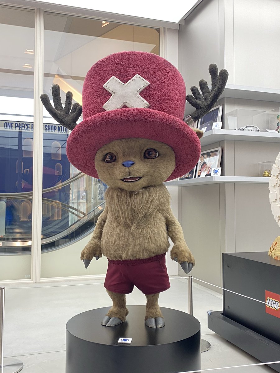 miso_kam's tweet photo. 初めてONE PIECE BASE SHOPに行ってきました🐈🐾

ロビンちゃんグッズの中でもミスオールサンデー時代のグッズは珍しい☺️
カードコレクションはチョッパーのリーダーカードが欲しかったので購入😌月末のマイナーリーダー限定の大会でチョッパーリーダーを使ってくるかも🦌💨💨 https://t.co/Ef8sCwNRka