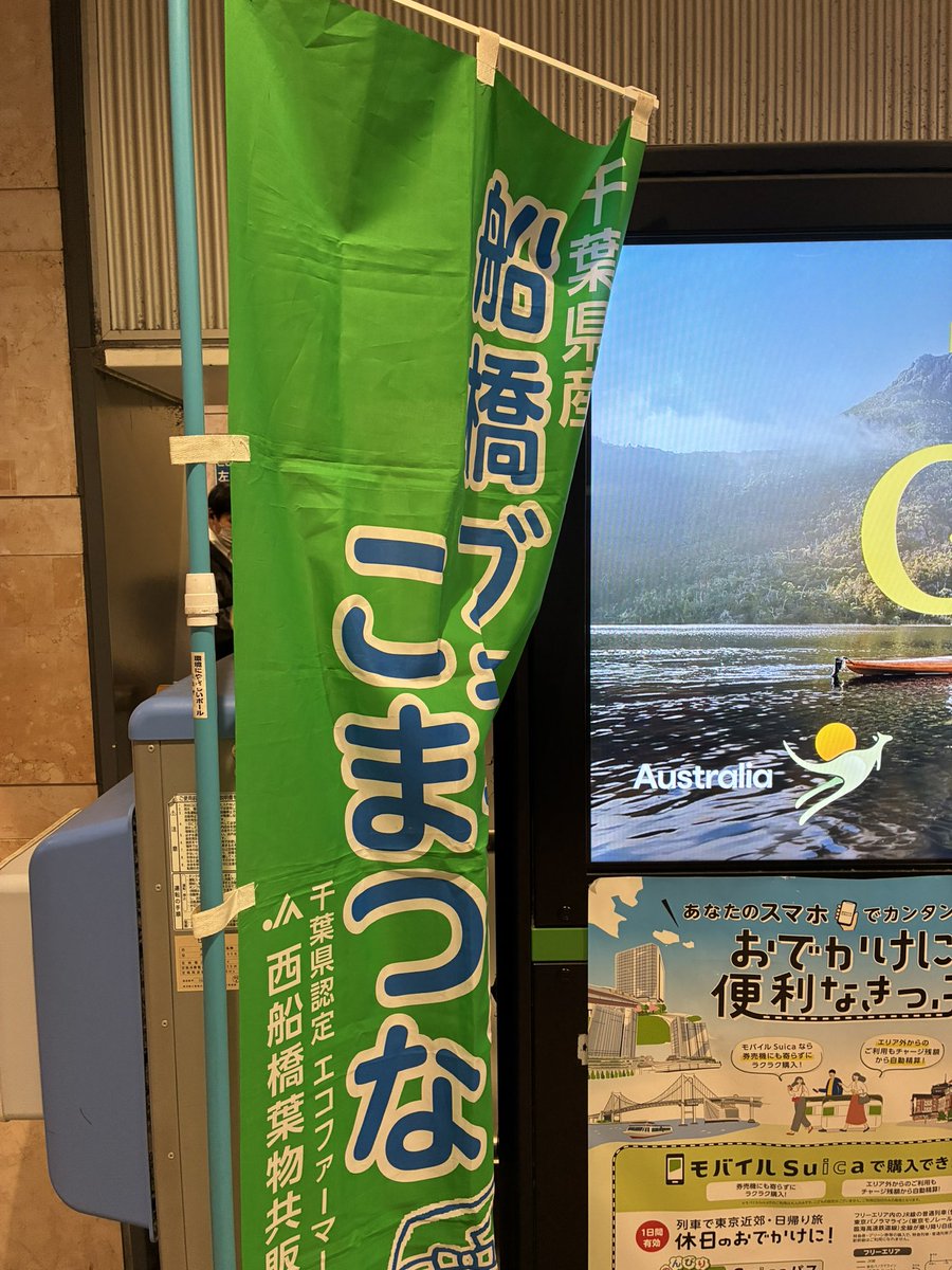 funara2023's tweet photo. 西船橋駅で野菜🥬の販売していたので小松菜2わ買ったよー。何して食べよ😋 https://t.co/9OU5HRrfAh