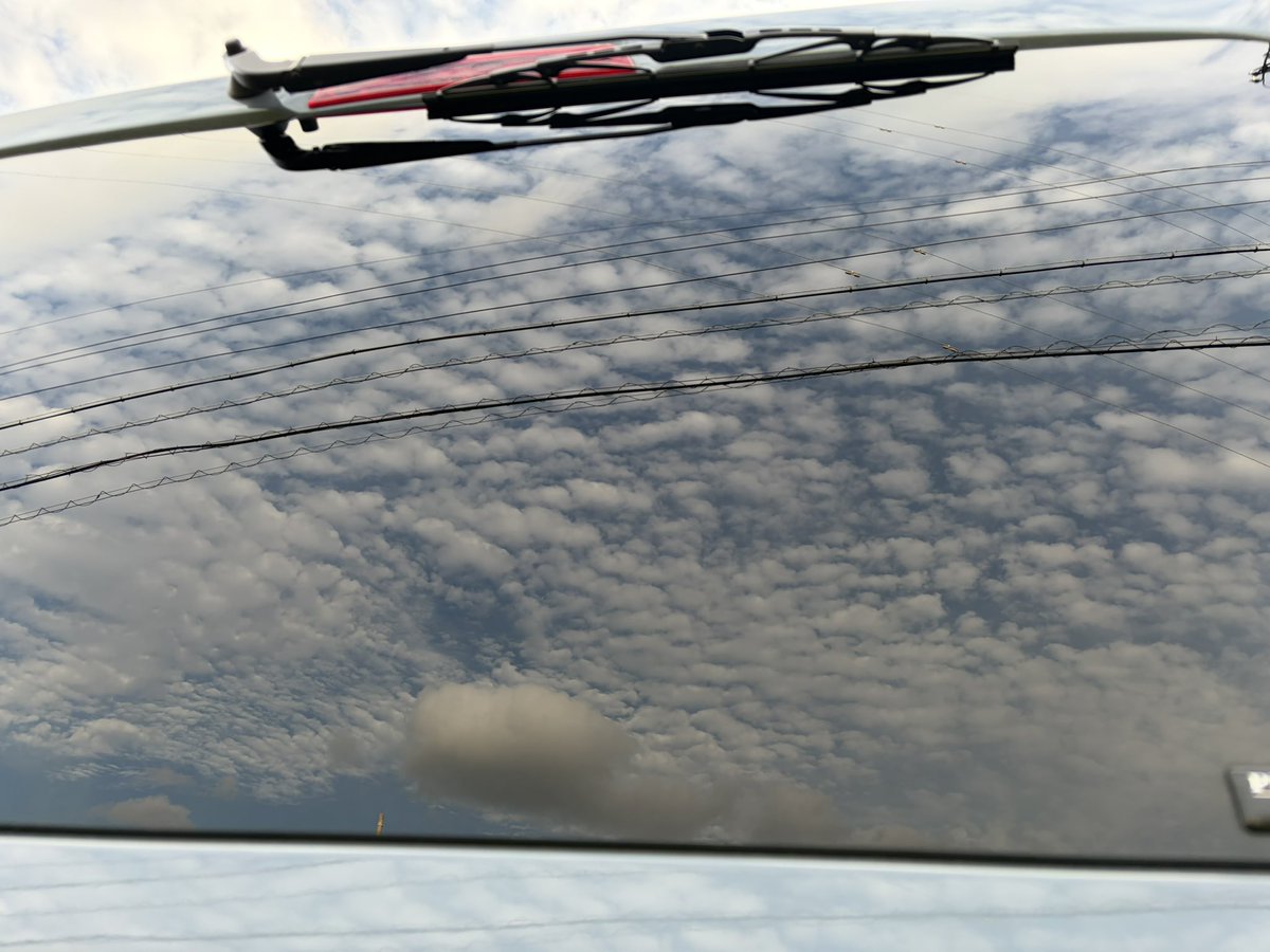 legend1122k's tweet photo. リアドア、サイド全面にシルフィード施工
日和って7%にしたけど丸見えだった車内だいぶ見えにくくなったしヨシ👉 https://t.co/98mp1XsJNh