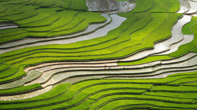 kucugulov's tweet photo. Woke up to the sun filtering through Bali’s rice terraces—nothing beats this slow, magical morning vibe ， https://t.co/ijX1EDi8ZY