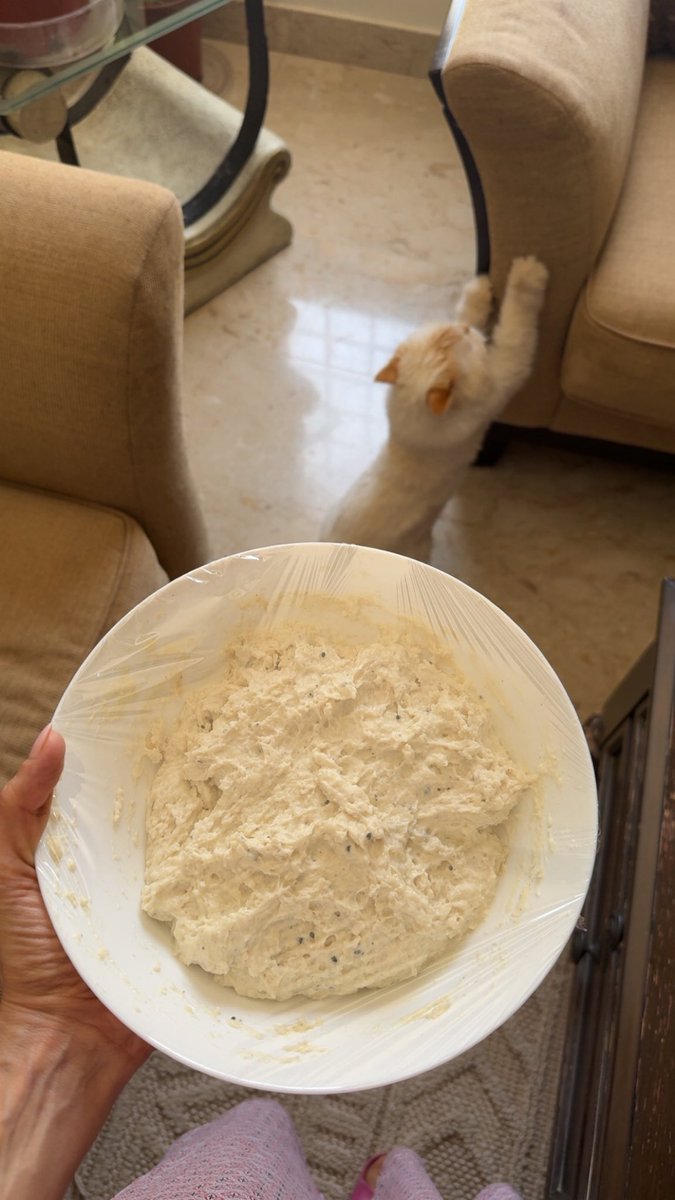qtalh20's tweet photo. مقولة ان "العقل الباطني يحمي صاحبه " صحيحه ، لانه قمت من فراشي طاحت عيني على الطحين عجنت بلا مقدمات ولا مؤخرات ولا ادري وش بسويبها ، عادةً اذا انضغطت بأسبوعي احب ابربس بالعجين فطاير او خبز ، الظاهر اني ��العه على أكبر خالاتي يقولون انها لما تتعنف من زوجها وأمه كانت تعجن نص كيس الطحين الكبير وتسويه "قرصان " ومن ثم توزعه على جيرانهم بشارع الريل بالرياض هالكلام له أكثر من 45 سنه ، ولما انفك العنف نست العجين والمقرصه وربما ان دعوات أهل حارتهم رفعت عنها الشدائد الله يرحمها ويرحمهم وأمواتنا جميعاً .