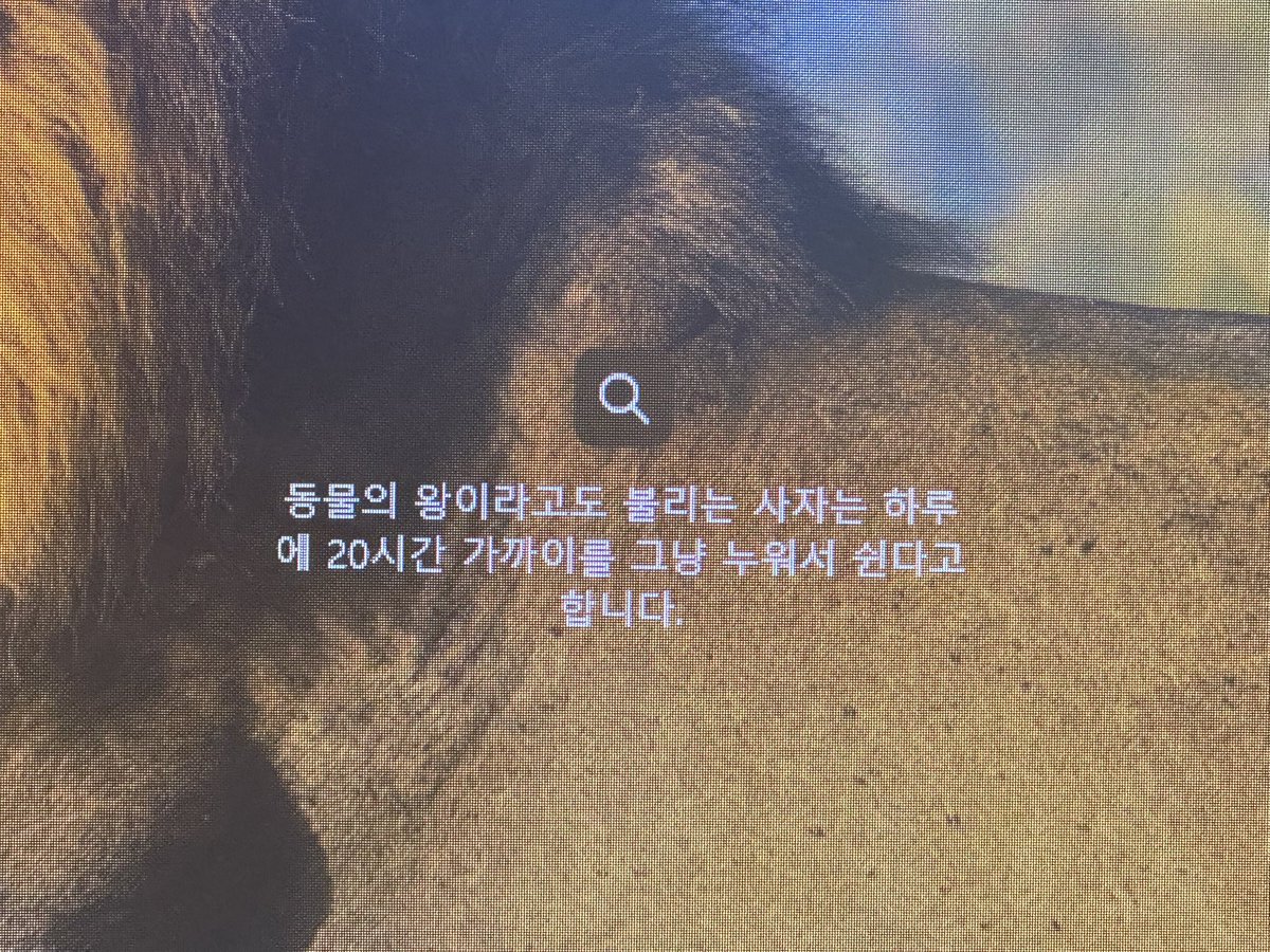 feelemon_studio's tweet photo. 컴퓨터 켰더니 뜨는 화면..

나는.. 사자이고 싶다

어흥! 그르릉 캭 https://t.co/vAL5cHNqDE