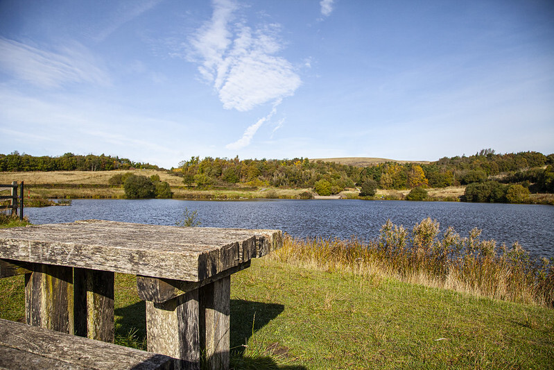 torfaencouncil's tweet photo. Following reports of people swimming in Garn Lakes, Blaenavon, in last month's heatwave, we'd like to remind people that swimming in the lakes is prohibited.  

This is because parts of the lakes are unsafe and it's a designated nature reserve. https://t.co/GHDP6lUt7M