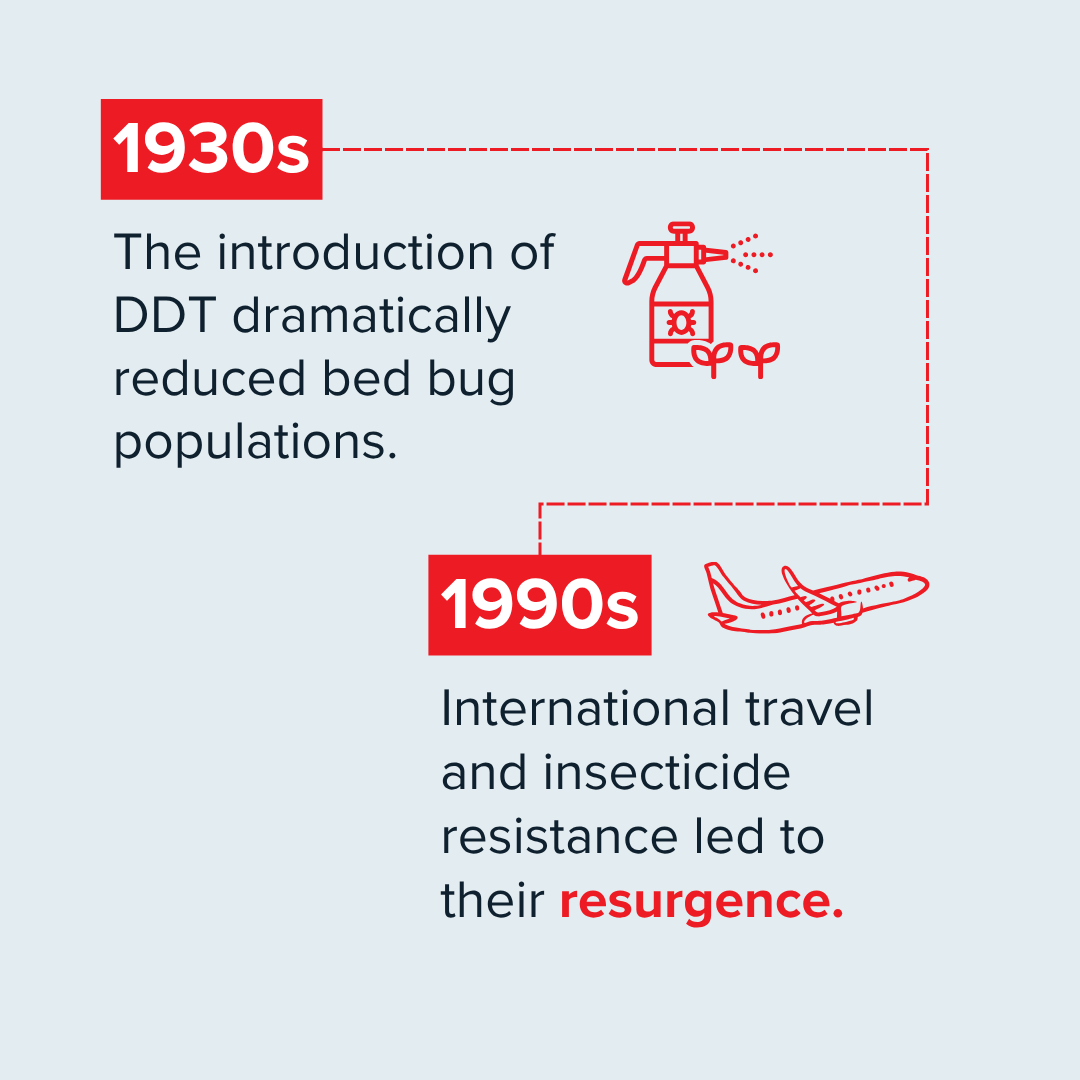 RentokilInitial's tweet photo. These resilient pests have been with humans for centuries, adapting to modern environments with remarkable persistence. But while their presence is unsettling, it’s important to separate fact from fiction.

Learn more about bed bug bites on our blog: https://t.co/SSFLWt14L1 https://t.co/aG5fIYavD4