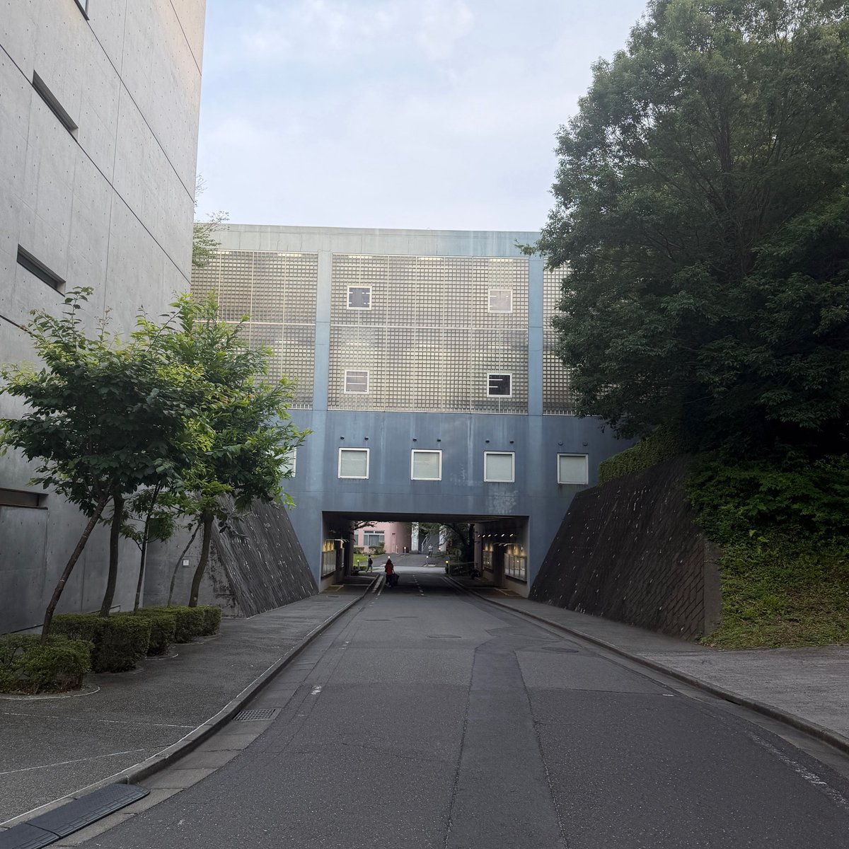 nisitake's tweet photo. 定期ポスト　
本日も無事に授業終了。 https://t.co/0xOB6V7rSJ