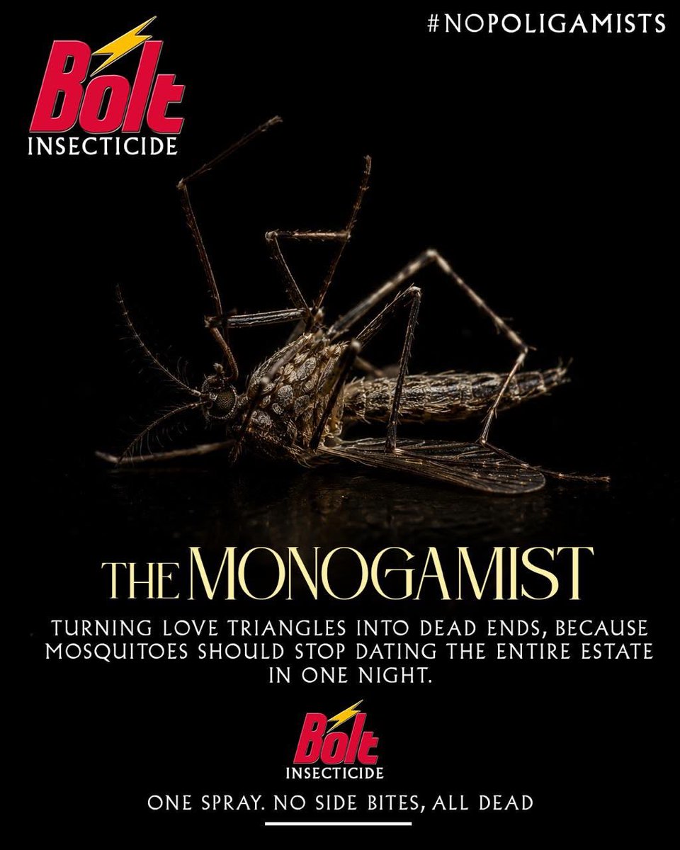 LinusGitahi's tweet photo. Stop Mosquitoes dating a whole estate in
One night ! https://t.co/5vF5vzYfWi
