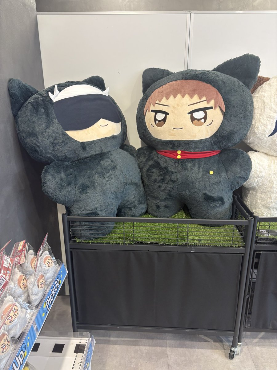 想像を上回る大きさで、ビックリしちゃった🤣🤣🤣