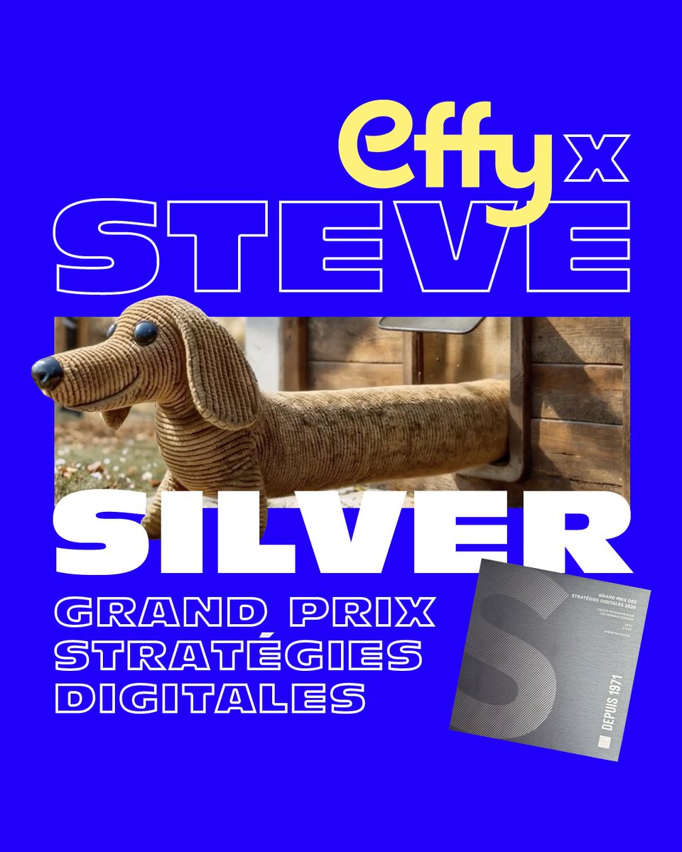 Steveagency's tweet photo. Des chiens de compet' ! Notre campagne #Freetheteckel pour @Effy a reçu un silver aux Grand prix Stratégies Digitales 🐶 https://t.co/P49SMG2Vng