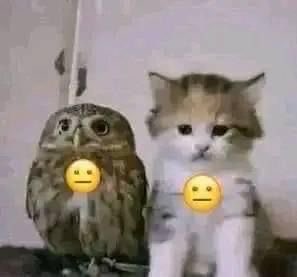 notfrss's tweet photo. من جهة سونيك فانز يلتحلطمون عن موديل للمرة مليون و من جهة الثانية الناس تتحارب على تعريب للمرة ألف https://t.co/8zgIElerNl