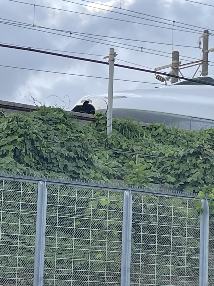mint_fanction's tweet photo. 人身事故これ？ https://t.co/05fcfdU1Jn