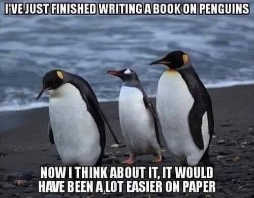 Judianna's tweet photo. 🐧 https://t.co/kuwGSWQMan