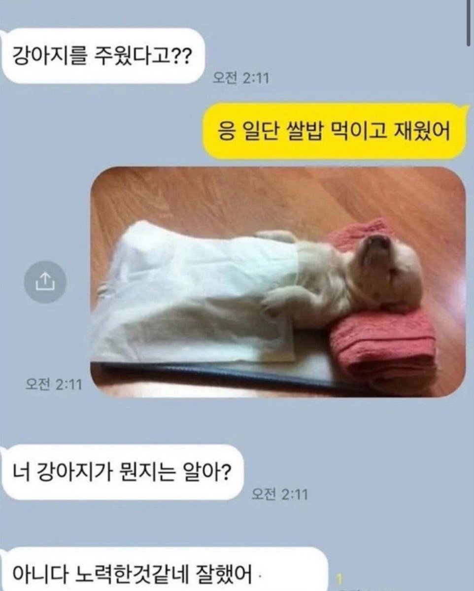 taenglelele's tweet photo. 견우 느티
강아지-산호 https://t.co/AD7lCopjgI