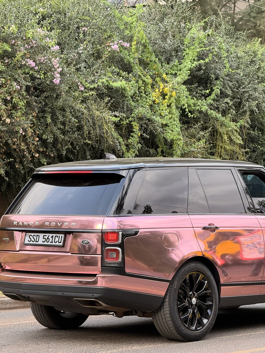 1joshoxy's tweet photo. Is this the cleanest Range Rover?🤩 https://t.co/JjiXSeGrBt