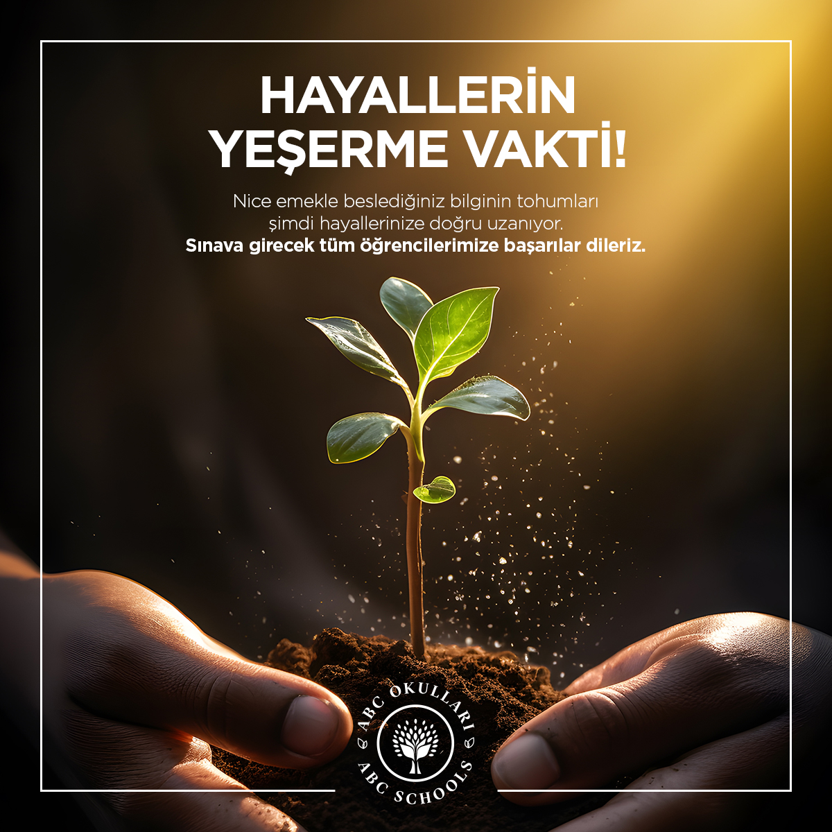 abcokullari tweet picture