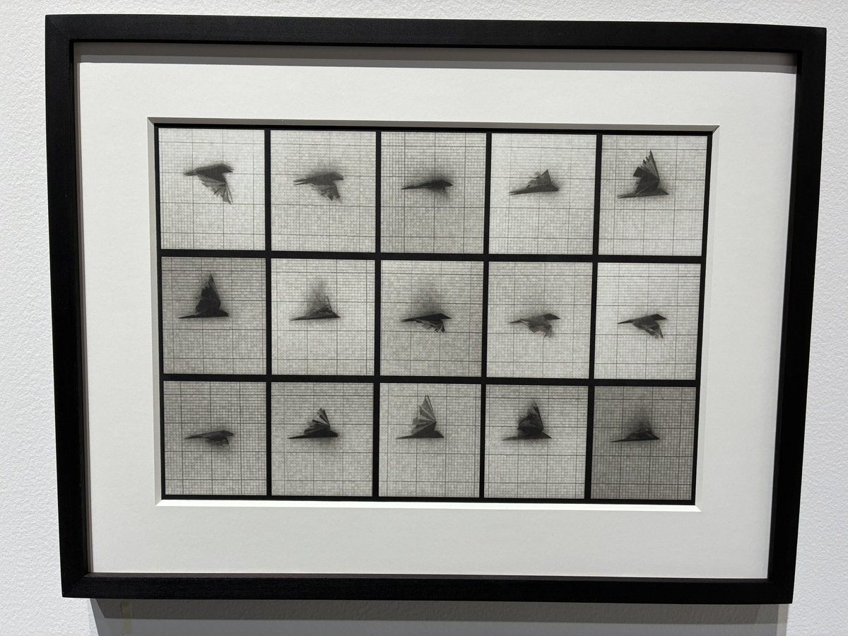 sssluke1's tweet photo. A Highlight at Basel was the Platinum-Palladium hand prints of ‘Chronophotograph’ by @_deafbeef in @AspreyStudio booth. 

A digitally native artwork and its physical redemption is rarely nailed. The grain in the prints have a softness of detail that only analogue print can have. https://t.co/raUFlhOJ66