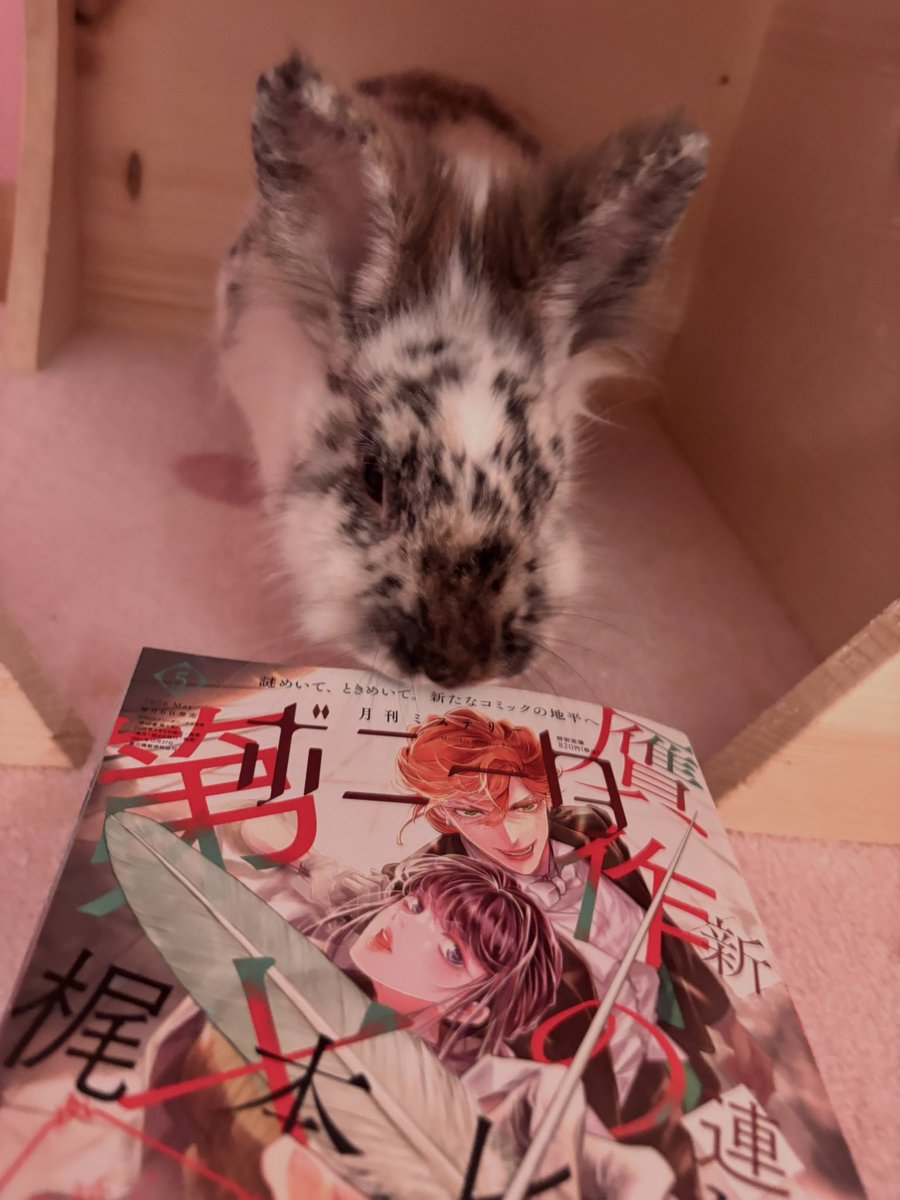 ｱｱｱｱｱ！！デイジーさん！！デイジーさんいけません！ 😂😍💗💗💗💗💗💗💗