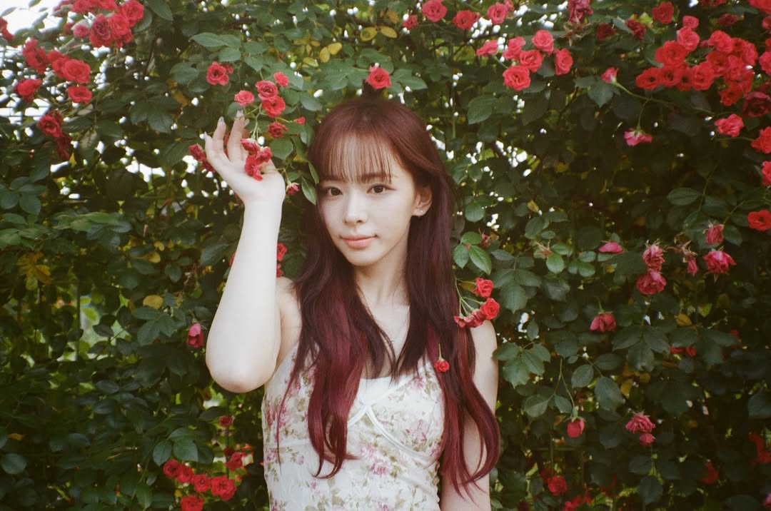SHUIEFEED's tweet photo. ୧ ‧₊˚ inst upd 𓂋 19.06 https://t.co/qhzscf4zfn
