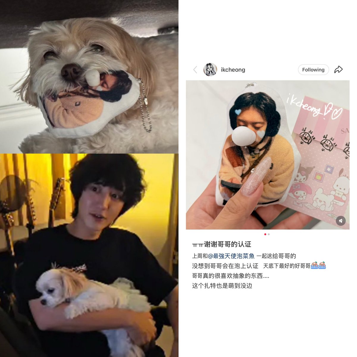 PCY_BASE's tweet photo. the doll was a gift from two fans at the Hong Kong fansign🥹🫳🏼

“𝘔𝘦 𝘢𝘯𝘥 最強天使泡菜魚 𝘨𝘢𝘷𝘦 𝘵𝘩𝘪𝘴 𝘵𝘰 𝘰𝘱𝘱𝘢 𝘭𝘢𝘴𝘵 𝘸𝘦𝘦𝘬. 𝘐 𝘥𝘪𝘥𝘯’𝘵 𝘦𝘹𝘱𝘦𝘤𝘵 𝘩𝘪𝘮 𝘵𝘰 𝘱𝘰𝘴𝘵 𝘪𝘵 𝘰𝘯 𝘉𝘶𝘣𝘣𝘭𝘦! 𝘏𝘦 𝘳𝘦𝘢𝘭𝘭𝘺 𝘪𝘴 𝘵𝘩𝘦 𝘣𝘦𝘴𝘵 𝘰𝘱𝘱𝘢 𝘪𝘯 𝘵𝘩𝘦 𝘸𝘰𝘳𝘭𝘥”

This reminds me when a fan gifted CHANYEOL a dress for Zzar, and he made sure to show her wearing it on live. He always cherishes fan gifts and loves to acknowledge them🥺🫳🏼

#CHANYEOL #찬열