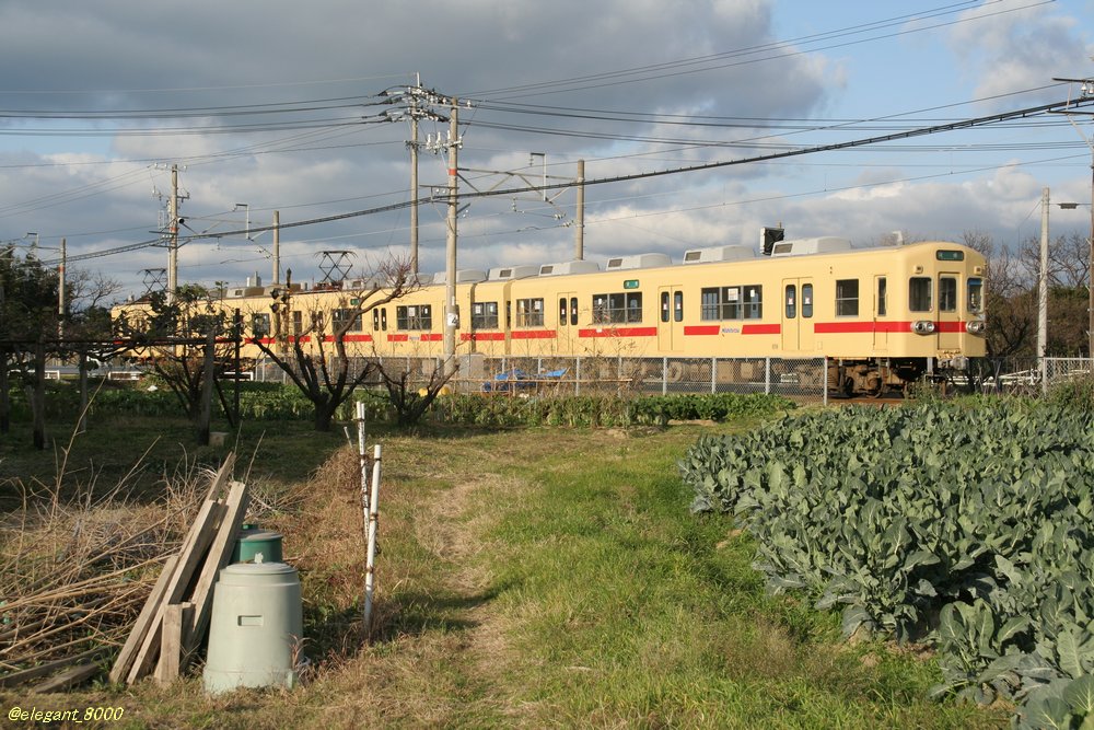 elegant_8000's tweet photo. 今回マルーン＆ベージュに復刻される608F、登場時はモ608+モ609-ク659の3両編成で、モ608を切り離した2両編成でも運行可能だったが大牟田線時代に3両固定化された。
宮地岳線に転属した600形で唯一の3両編成であったが、2007年の部分廃止時に中間のモ609が廃車されて2両編成になって現在に至る。 https://t.co/z9jYFmnZCM