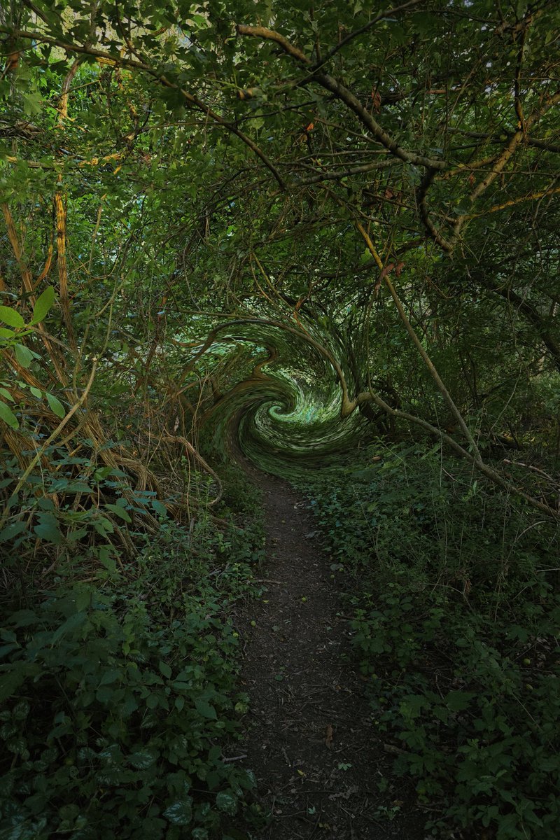 VelvetInSecret's tweet photo. This is what the forest looks like to me every time it gets hot during summer. https://t.co/56CTbBYptK