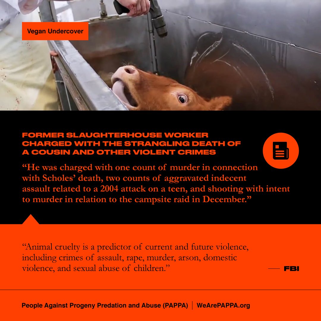 WeArePAPPA's tweet photo. #dairy #bacon #pork #beef #cheese #steak #turkey #ham #mother #child #violence #Australia https://t.co/CYsZpYpSFr