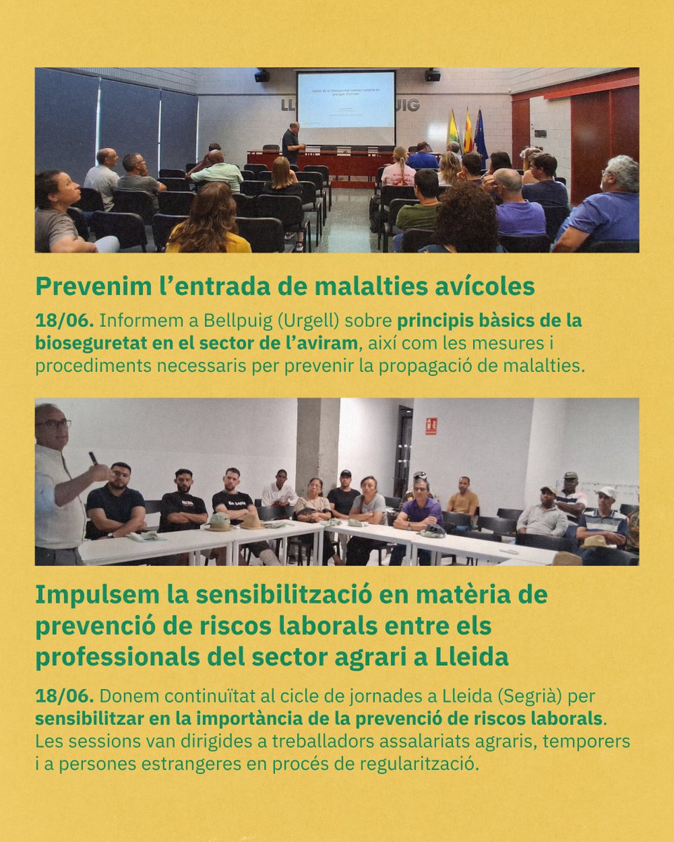 uniopagesos's tweet photo. 🗣️Jornades, formacions... aquí us deixem un breu resum d'algunes de les accions sindicals que hem dut a terme durant les últimes setmanes.

Seguim treballant! https://t.co/hoThfuFqeu