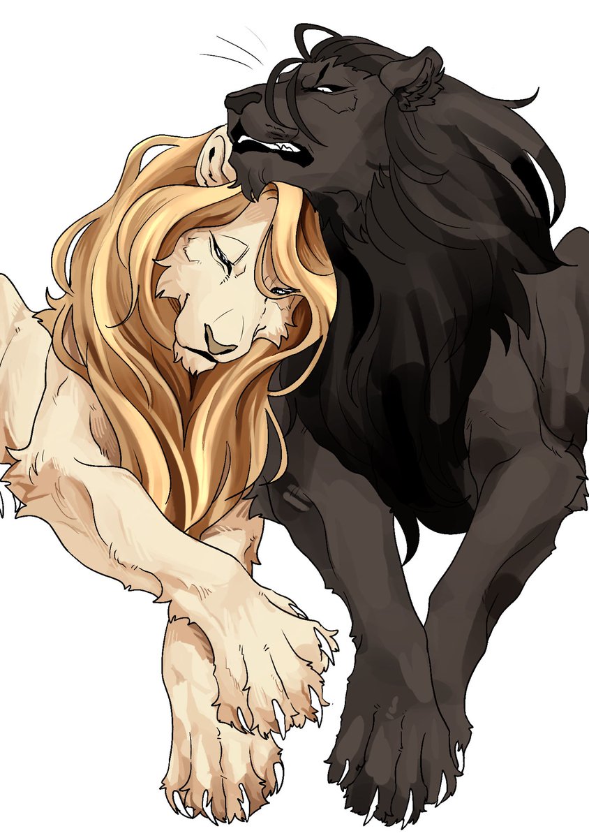 riseidokokana's tweet photo. skeb進捗
悪魔と契約を結んでメロいライオンを描く能力を手に入れた者だが https://t.co/jEYXwXDgaF