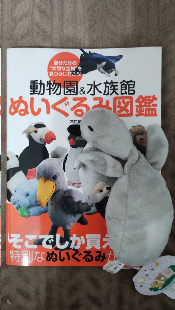 gogo_gomu's tweet photo. #ぬいぐるみ図鑑ぬい撮り https://t.co/zq3Bl17Pbb