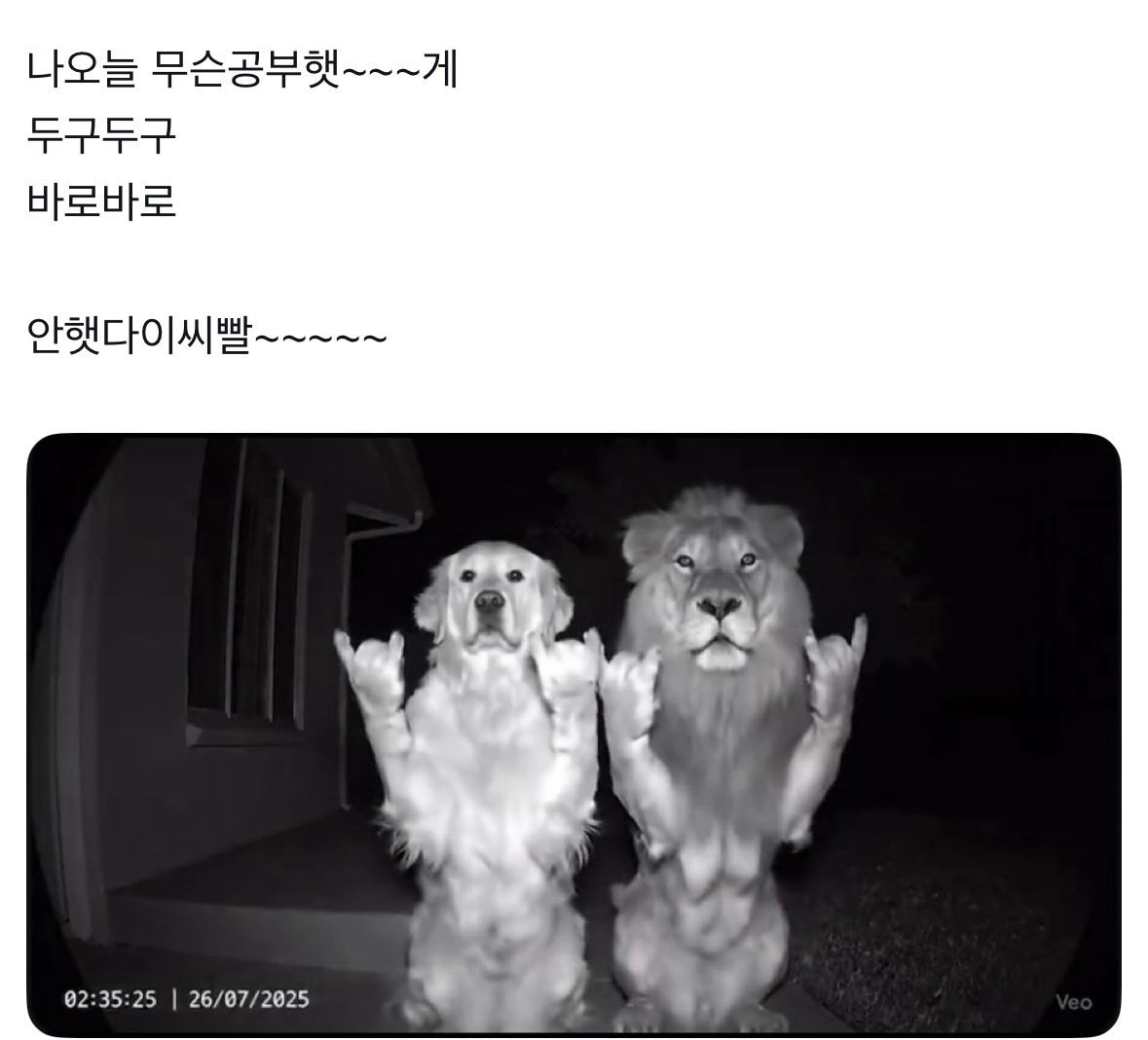 xxbb5u's tweet photo. #상반기결산 https://t.co/TkZrA0iLy8