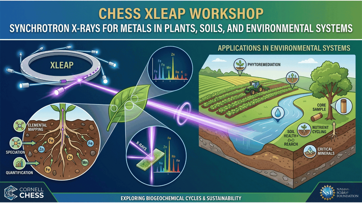 MiTeGen's tweet photo. The Early Science and Community Building at XLEAP Workshop is August 5-7 at Cornell University - Participants will explore how advanced X-ray techniques can unlock new insights into biological, environmental, and agricultural systems - Learn More https://t.co/unMer9yyXp https://t.co/XS8kWwxQ4w