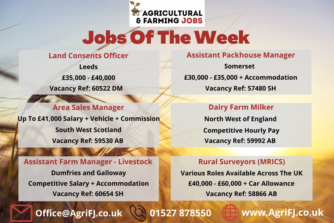 Agriculturaljob's tweet photo. Jobs Of The Week! 🌟

If you would like to find out further information on these job roles and to apply, please visit our website; https://t.co/FogcMc4Y4s 

#agrifj #agriculturalandfarmingjobs #jobsoftheweek #jobopportunities #applynow #getintouch #recruitment https://t.co/m71uhX4tSN