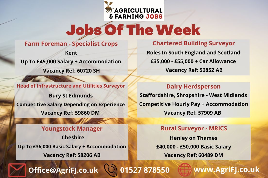 Agriculturaljob's tweet photo. Jobs Of The Week! 🌟

If you would like to find out further information on these job roles and to apply, please visit our website; https://t.co/FogcMc4Y4s 

#agrifj #agriculturalandfarmingjobs #jobsoftheweek #jobopportunities #applynow #getintouch #recruitment https://t.co/m71uhX4tSN