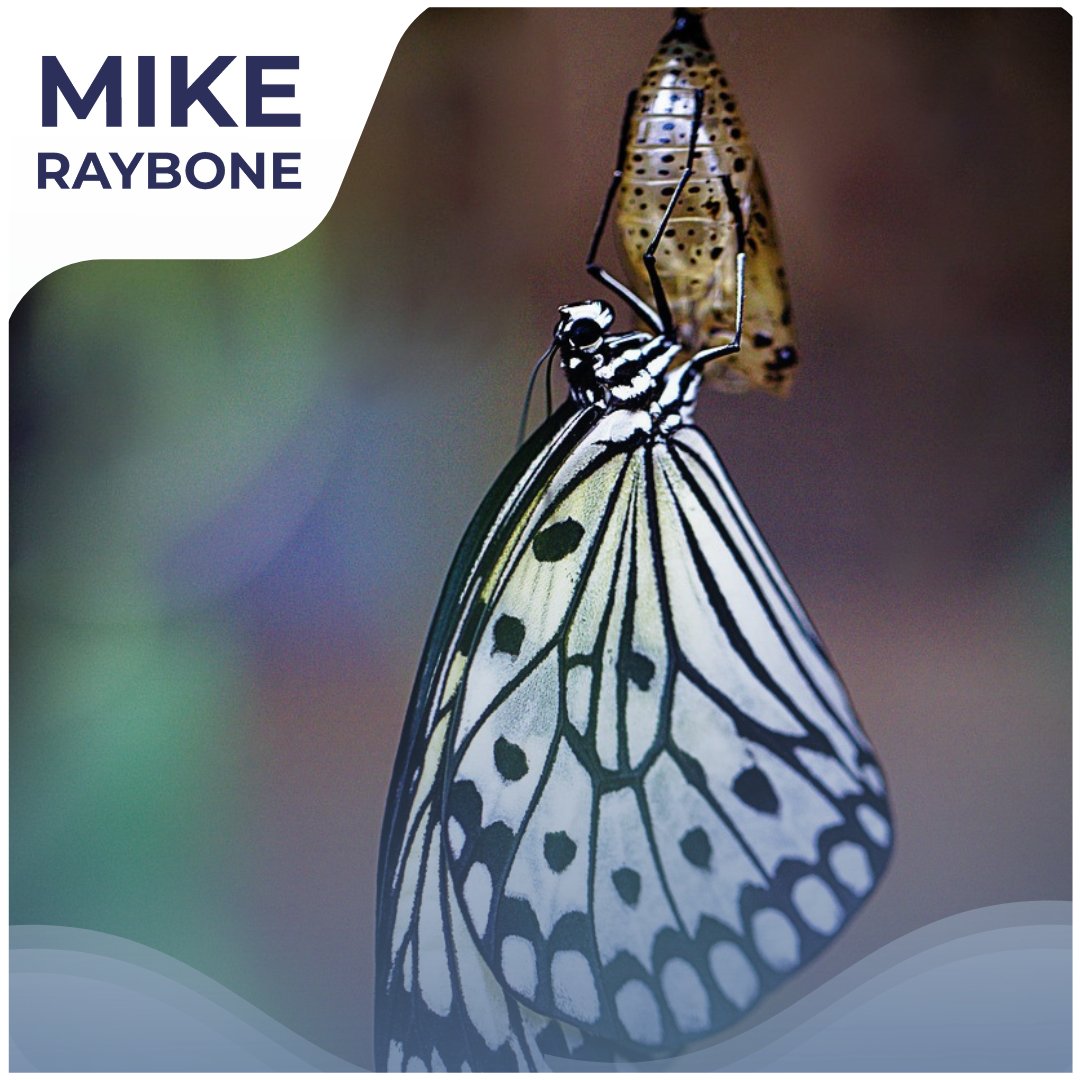 MikeRaybone tweet picture