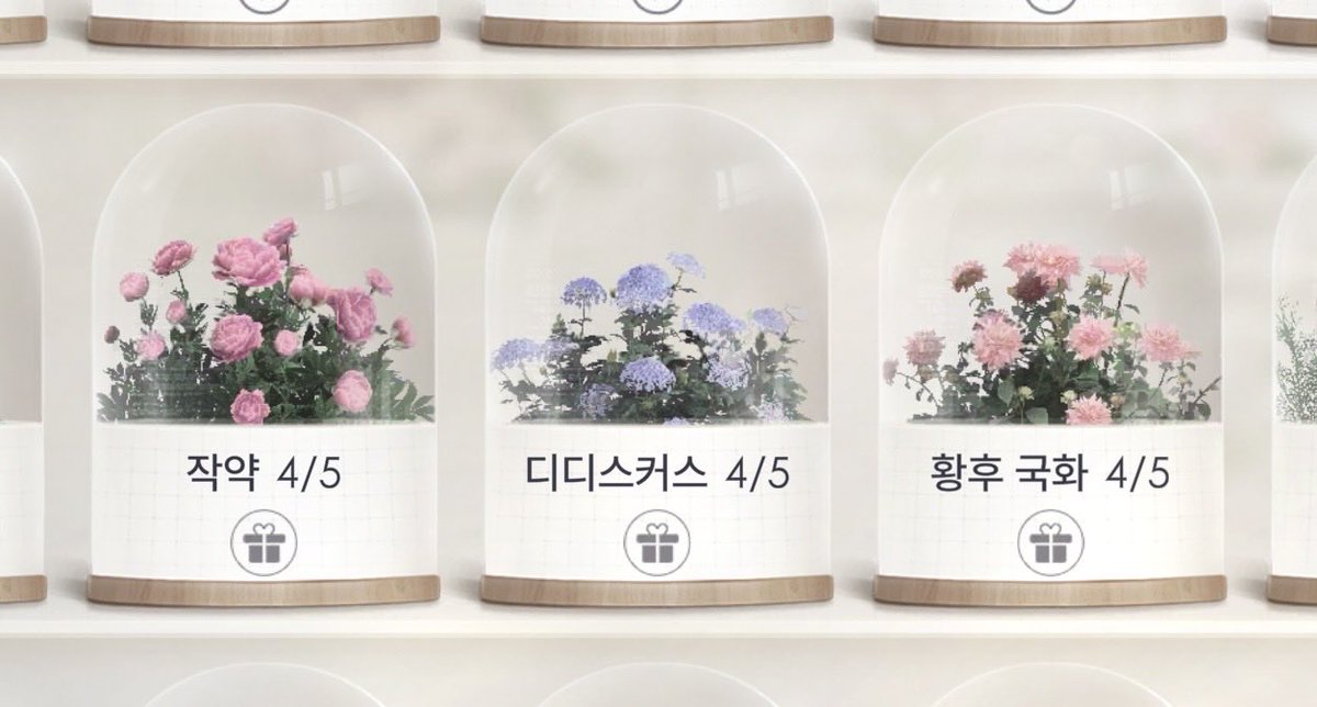 dxaxite's tweet photo. 지금 몇주째 이 세명이 나를 속썩이고 있지만 안울어혀...
심지어 작약은 한개 빼고 다 나왓지만 안울어혀... 🥹🥹 https://t.co/bpabnY7PDp