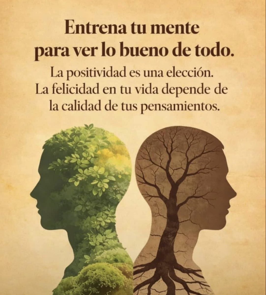 MarcosDelado's tweet photo. ¡Piensa positivo! https://t.co/OwFnZ9mNgi