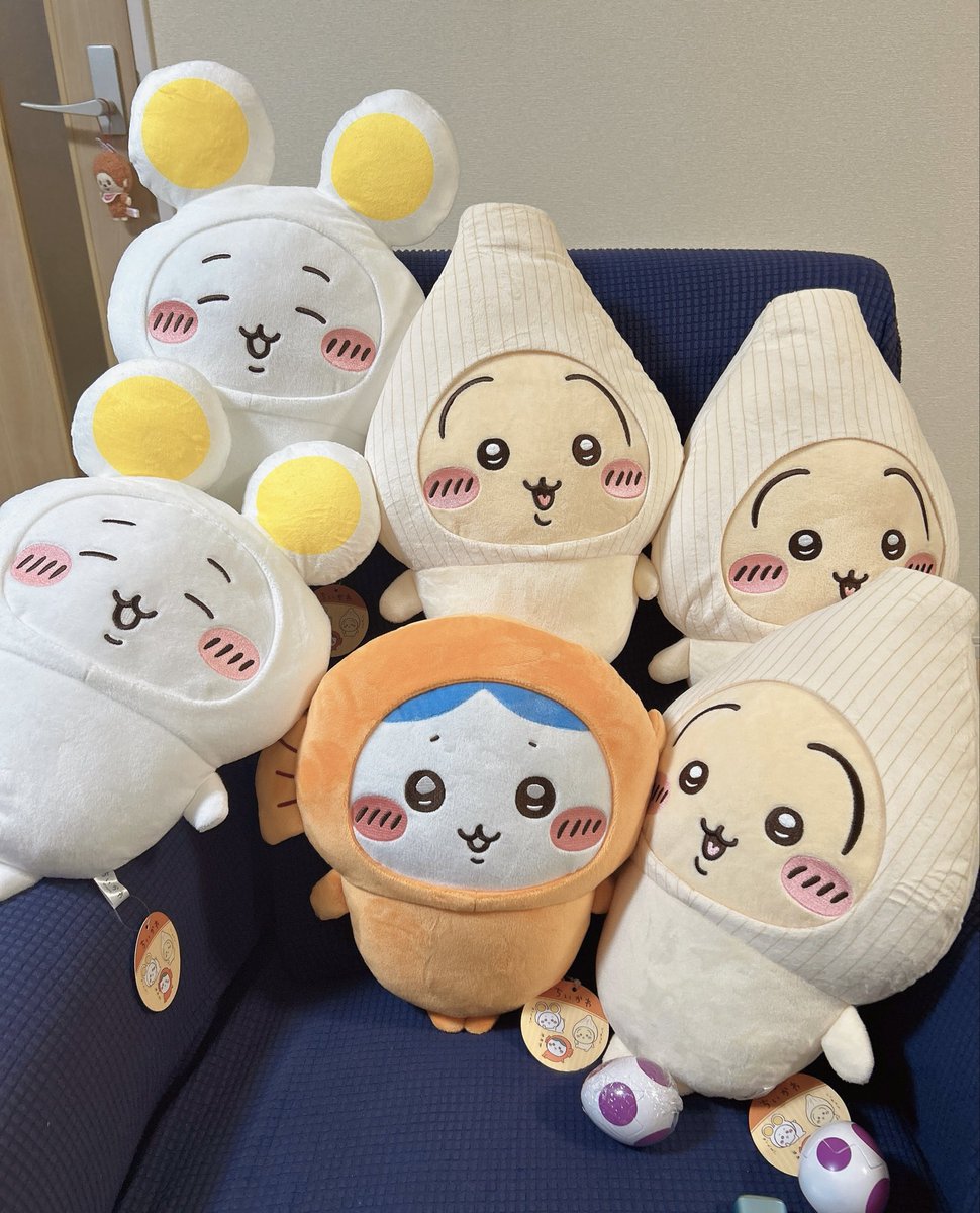 noichq_'s tweet photo. 今日の戦利品 https://t.co/sXmaYba0BE