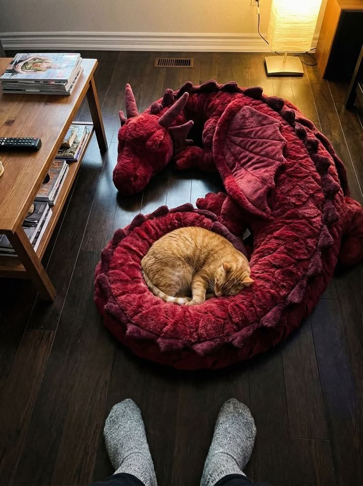 cats_auras's tweet photo. https://t.co/jVJY7aHlpf