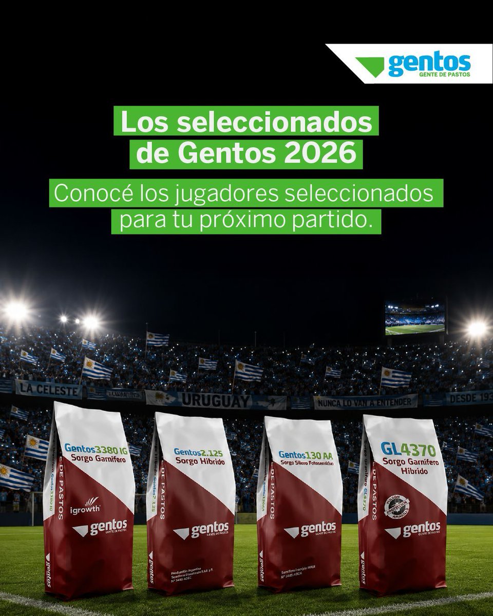 GentosUy's tweet photo. Como en toda selección, cada integrante cumple un rol distinto.

Hasta el 26 de junio accedé a un 10% de descuento en híbridos seleccionados de sorgo Gentos. https://t.co/2oqiojzlvI