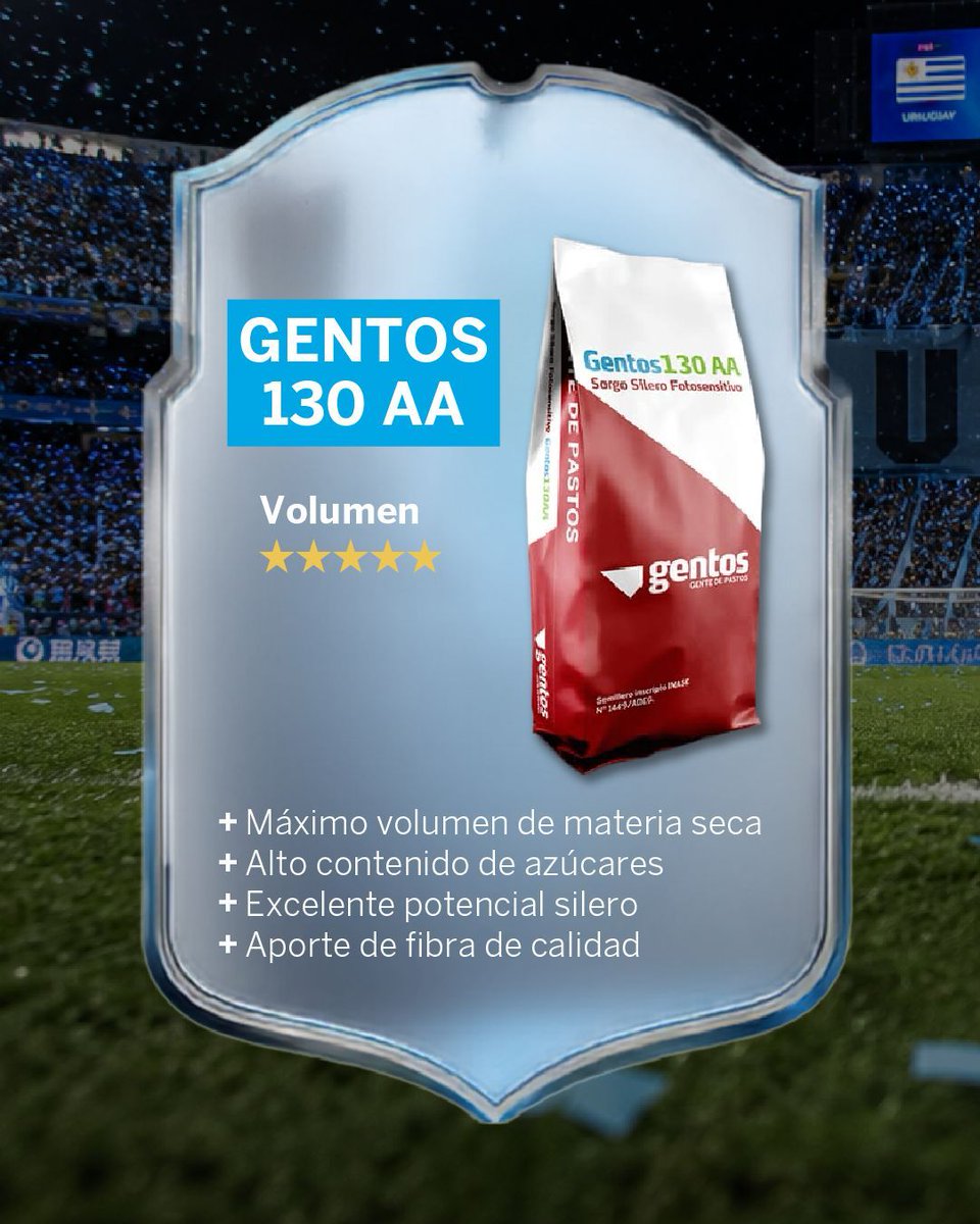 GentosUy's tweet photo. Como en toda selección, cada integrante cumple un rol distinto.

Hasta el 26 de junio accedé a un 10% de descuento en híbridos seleccionados de sorgo Gentos. https://t.co/2oqiojzlvI