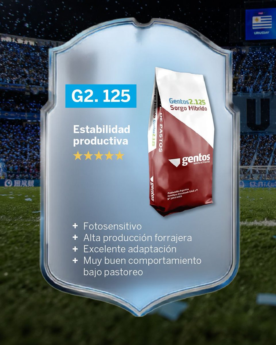 GentosUy's tweet photo. Como en toda selección, cada integrante cumple un rol distinto.

Hasta el 26 de junio accedé a un 10% de descuento en híbridos seleccionados de sorgo Gentos. https://t.co/2oqiojzlvI