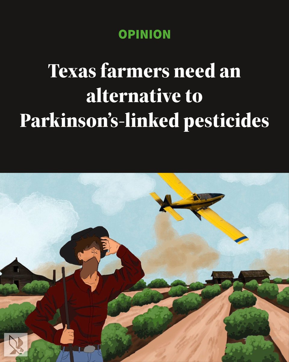 ntdaily's tweet photo. OPINION: Texas farmers need an alternative to Parkinson’s-linked pesticides

📝: Robert Trevino 
🖼️: Luz Martinez 

Read more: https://t.co/v6OUktTveW https://t.co/LGbG1sbW0H