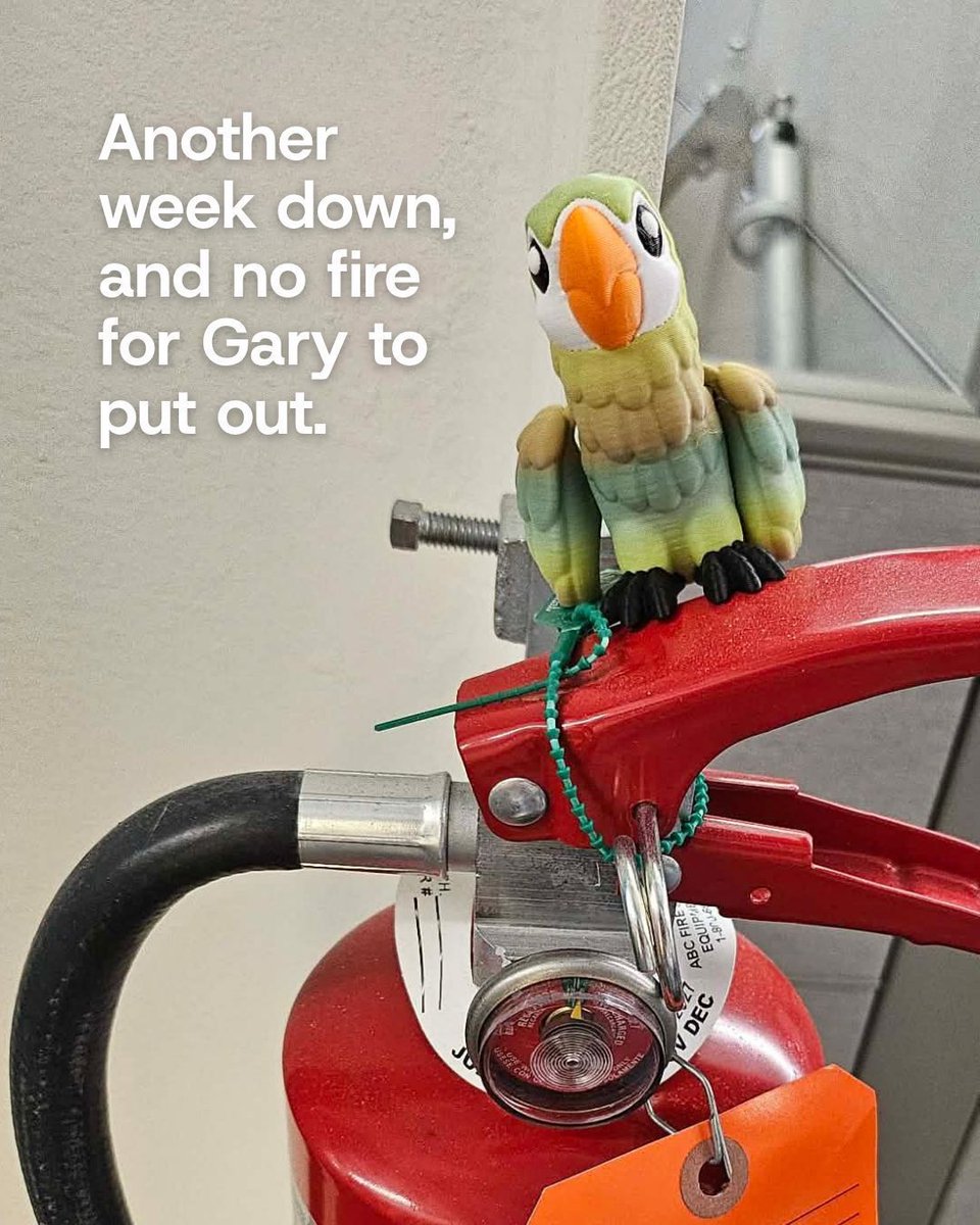 Telpay's tweet photo. Another week down. No fires to put out. Things at Telpay are steady as ever. Gary, newly named office safety officer, however, remains unconvinced. 
Self-appointed. Fully committed. Slightly terrifying.

Watch Gary in Double Entry  → https://t.co/v4CQqIfgzu

#TelpayOriginals https://t.co/0lqQd178bc