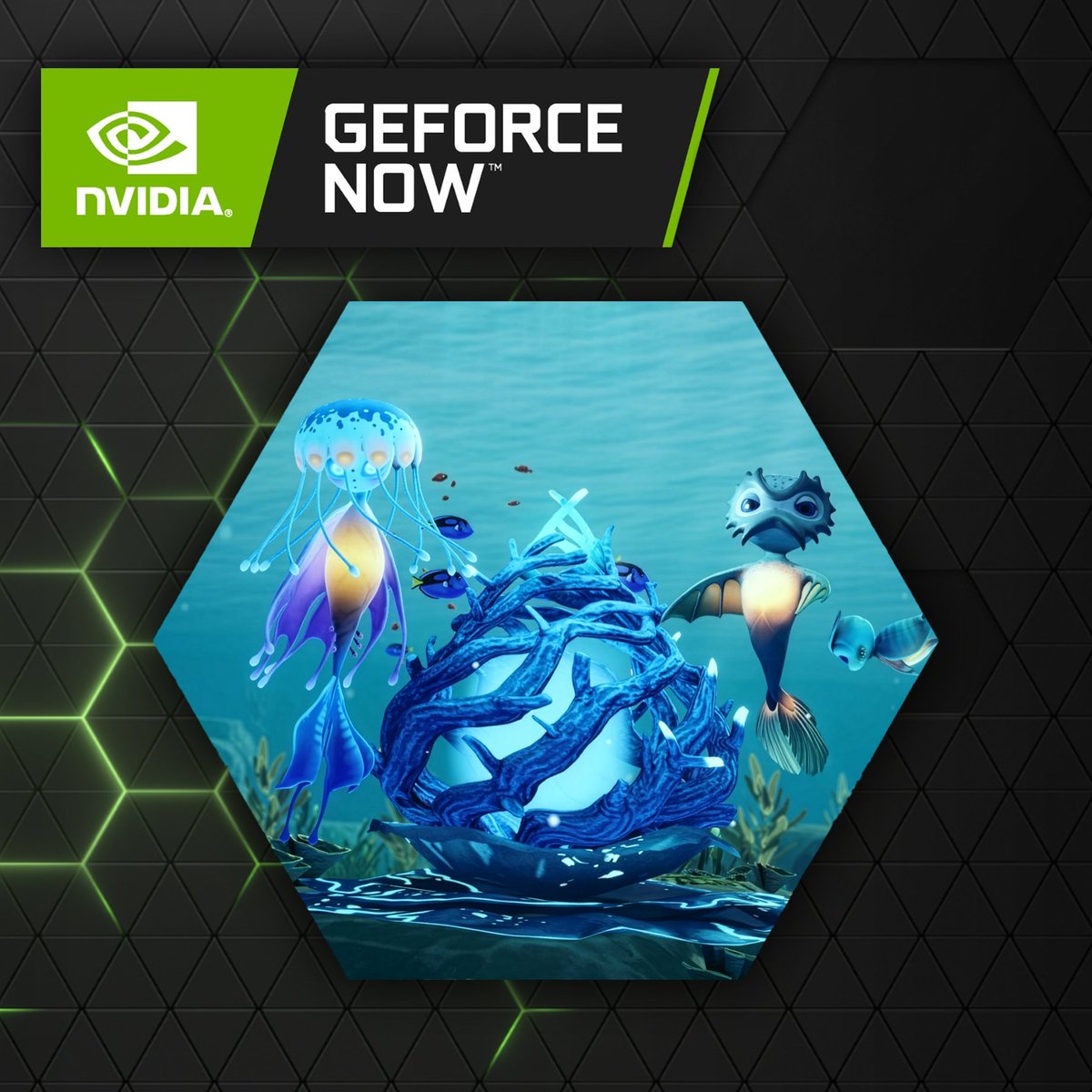 KasedoGames's tweet photo. We’re excited to share that Life Below is now available to play via cloud streaming on GeForce NOW.
Whether you’re discovering the game for the first time or diving back in, it’s now easier than ever to experience Life Below wherever you are!
 #GeForceNOW #CloudGaming #IndieGame https://t.co/YyvPXb9CIp